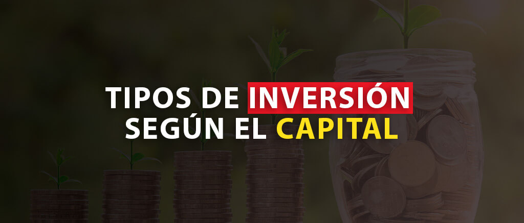 TIPOS DE INVERSIÓN SEGÚN EL CAPITAL